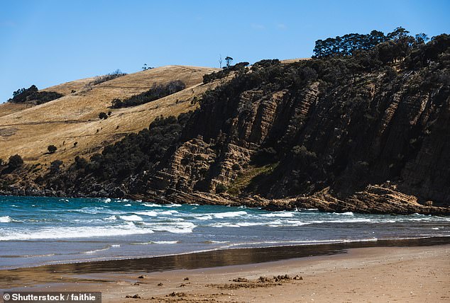 The skeletal remains were found by a local resident halfway between Clifton Beach (photo, stock) and Goats Beach and are believed to have been there for at least five to thirty years.