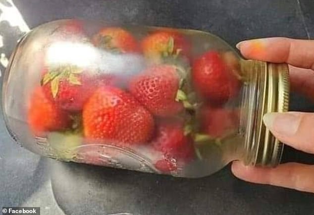 I keep my strawberries fresh for up to THREE WEEKS with