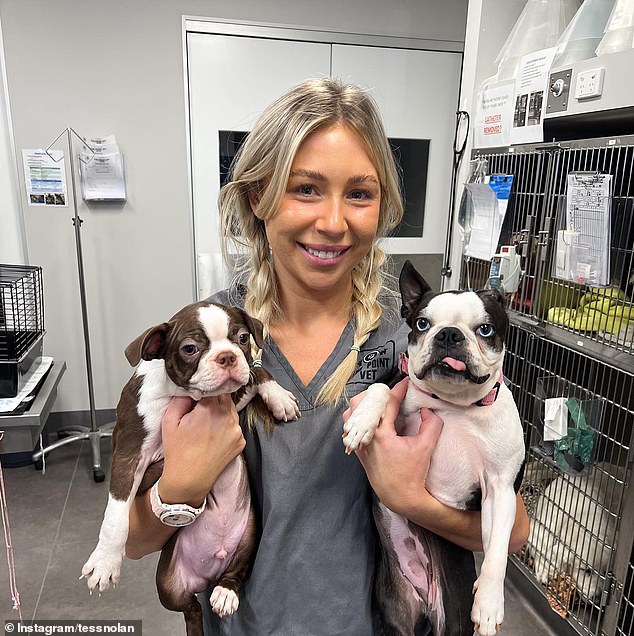 Senior nurse and practice manager Tess Nolan spends her days diagnosing and treating dogs and cats on the Gold Coast, performing everything from pet resuscitation to x-rays and blood tests