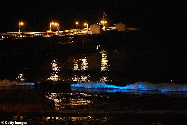 A bioluminescent wave crashes onto the shore next to the San Clemente Pier