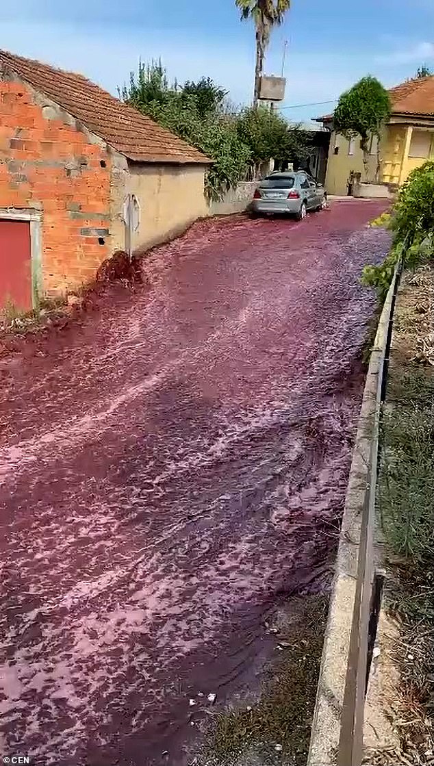 The wine, which would almost fill an Olympic swimming pool, flowed through the streets of São Lourenco do Bairro in Portugal