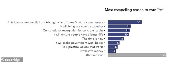 Indigenous Voice to Parliament Polling shows why the botched Yes