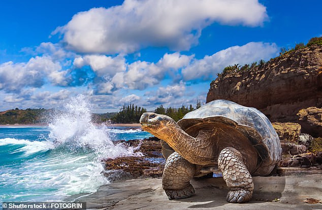 While touring the Galapagos Islands, Claudia Joseph encounters the archipelago's 