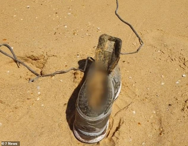 Caddick's disappearance remains unsolved after her remains were found washed up on a beach 400km south of Sydney (photo: remains of Caddick's foot)