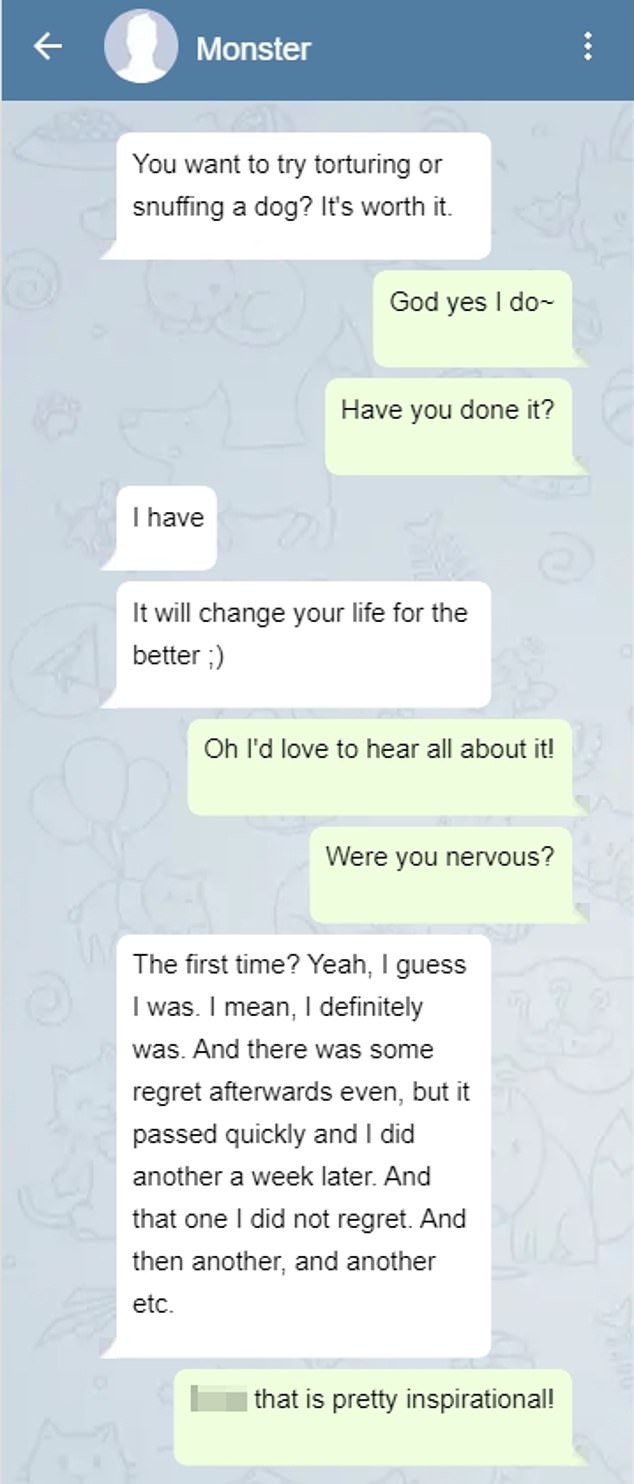 Pictured: A mock-up of a conversation Britton had with a Telegram user dubbed 