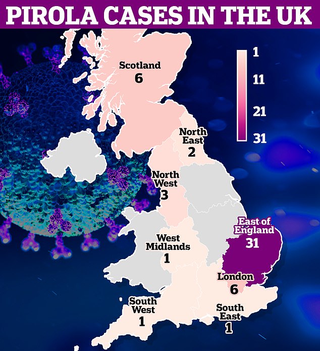 The total number of Pirola cases in Britain rose to 54 on September 18 – an increase of 12 in a week