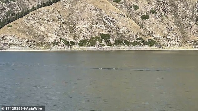 Pictured is a creature that a woman says is 15 meters tall in Tianchi Lake on Tianshan Mountain, Xinjiang, China