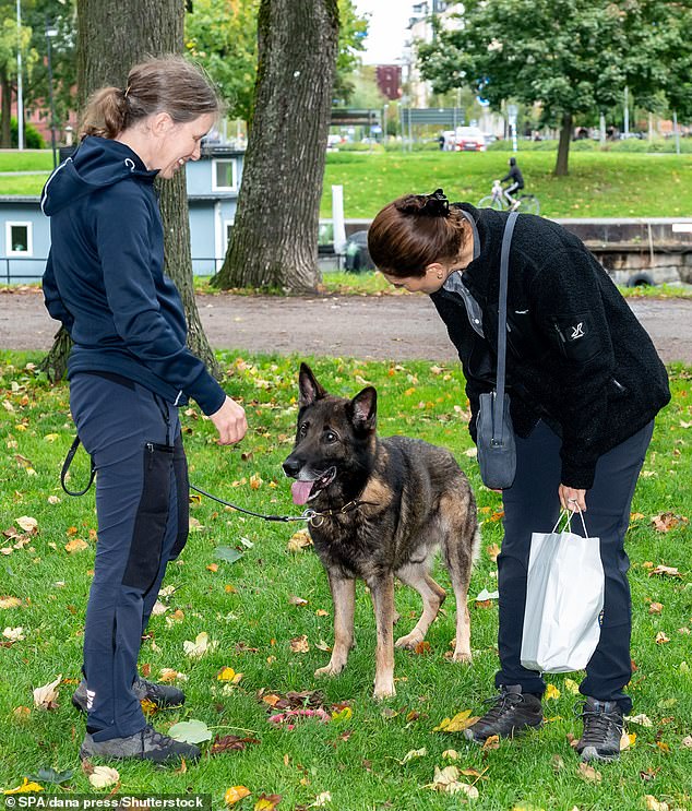 The Swedish princess, 46, looked casual in a navy fleece sweater, hiking boots and cargo pants