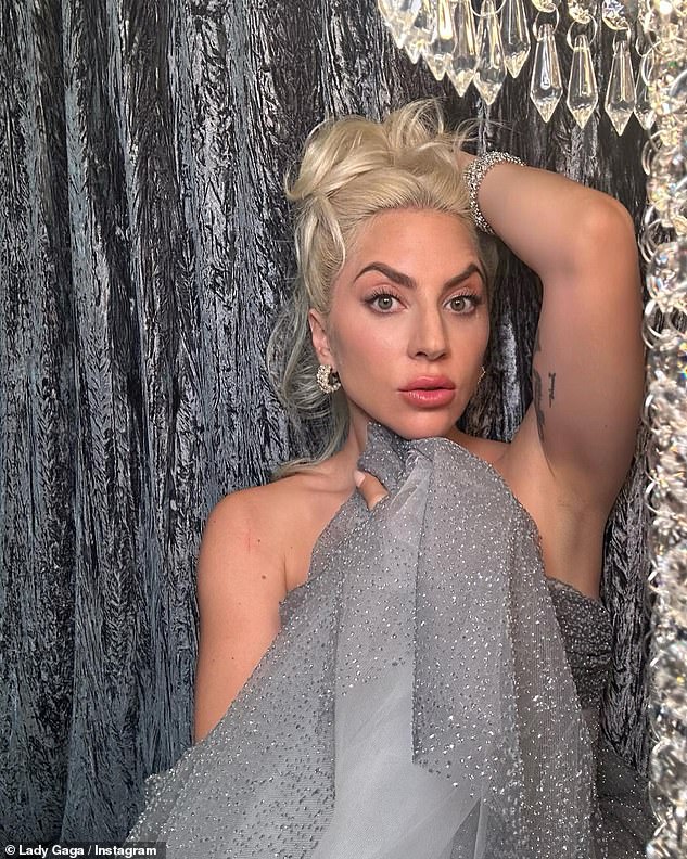 Stunning: Lady Gaga put on a glamorous show in a shimmering gray strapless gown as she posed for a slew of sizzling Instagram snaps on Monday