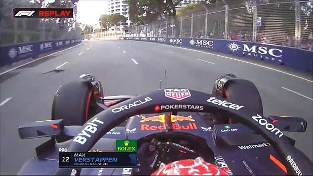 Max Verstappen had to take action to avoid the creature, probably a monitor lizard