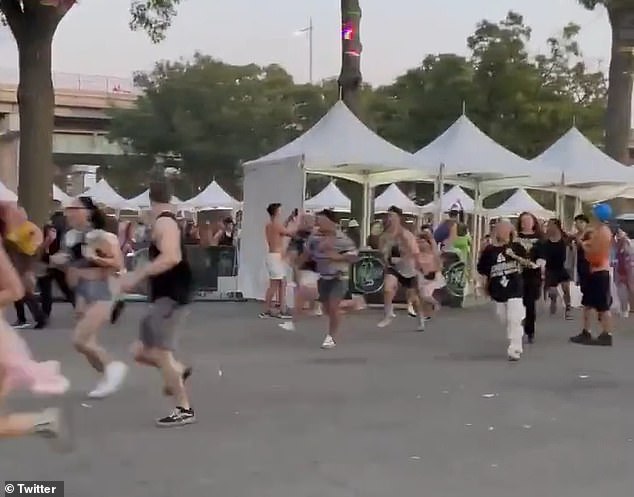 At New York City's Electric Zoo Festival, visitors rushed to the gate on Sunday after 'unforeseen circumstances' led to ticket holders being rejected