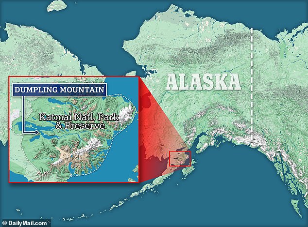 The unidentified hiker was spotted on camera set up on Dumpling Mountain in Katmai National Park on September 5 and although there was no audio, he could be seen saying the words 