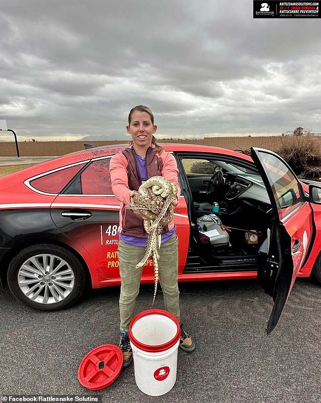 Marissa Maki was the brave professional snake remover who came to the aid of an Arizona homeowner with twenty rattlesnakes in his garage