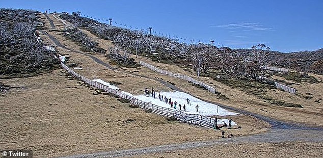 Skiers took to the slopes of Mount Perisher (above) to enjoy the last of the winter's snow