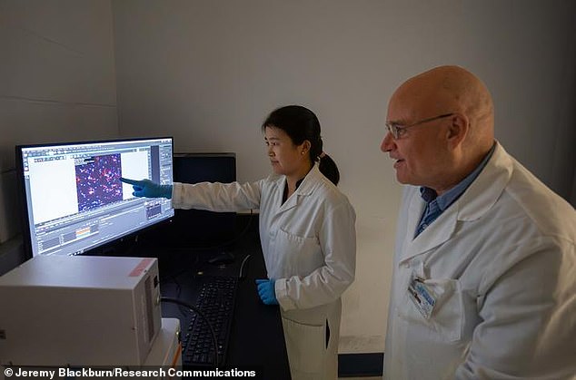 Zhihui Zhu (left) and Erhard Bieberich (right) teamed up with fellow researchers to study the FDA-approved drug ponesimod as a potential therapy for Alzheimer's disease