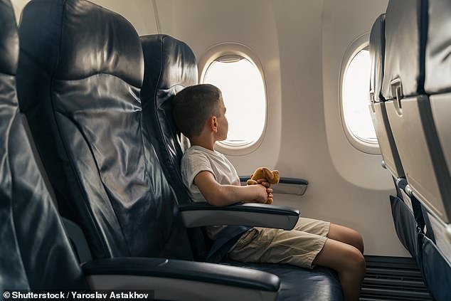 The mother, believed to be from the US, sparked outrage among Redditors when she questioned whether it would be inappropriate to leave her child in economy class while she and her partner fly in business class (stock image)