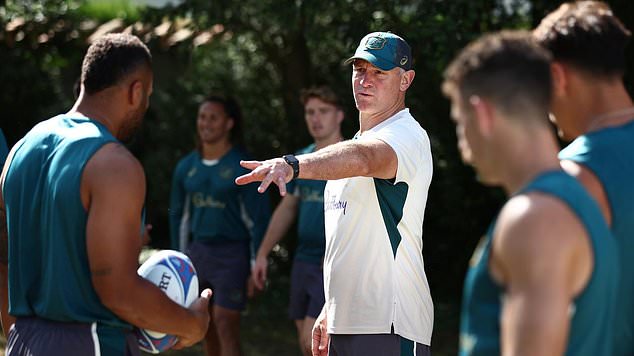 Former NRL star Jason Ryles says he was 'painting my house' when he got an SOS call from Wallabies coach Eddie Jones to be part of the Rugby World Cup campaign