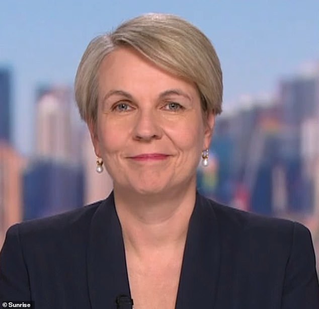 Environment Minister Tanya Plibersek (pictured) reassured Barr and those questioning the Voice's reach that the body does not have veto power over the government