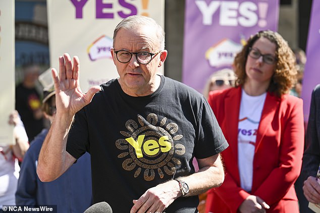 Proponents of no voting rights say Pearson's statement further contradicts Prime Minister Anthony Albanese's claim that a treaty would not be an inevitable consequence of a ballot.