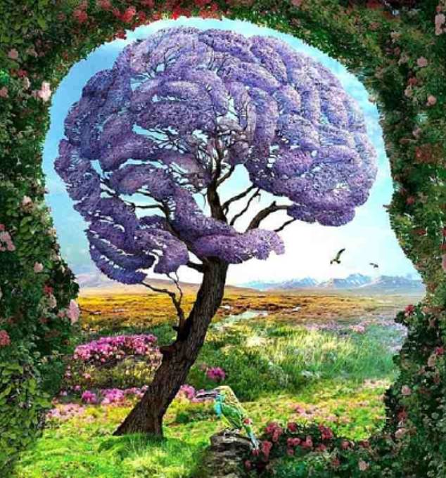 The colorful, nature-filled optical illusion is said to reveal all the deeply hidden parts of yourself.  Whether you're constantly seeking wanderlust or struggling with your own sense of self