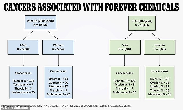 Of the substances studied, they found that certain PFAS and phenols/parabens were associated with higher rates of certain cancer diagnoses