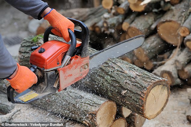 According to the Center for Disease Control and Prevention, more than 36,000 people are treated in hospitals each year for chainsaw-related accidents.