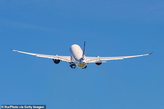 The team's charter flight, an Airbus A330-900, took off from Sin City at 9pm last night but suffered an oil pressure failure at 5am (file photo)