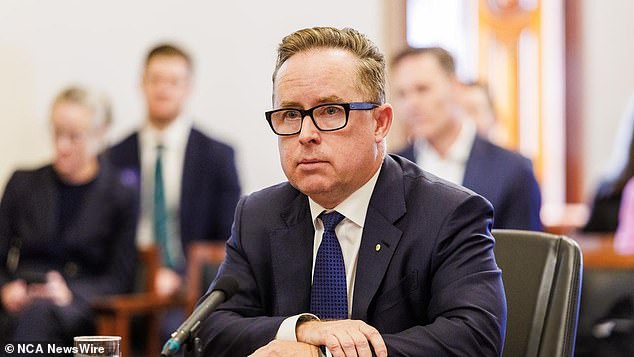 Mr Albanese would not be interested in whether Qantas boss Alan Joyce (pictured) should return his plum bonuses.  People would 