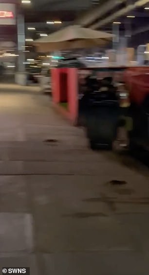 Footage shows a pair of rats running boldly across the sidewalk (as in the photo)