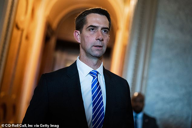 Just as an onslaught of Democratic senators has demanded that indicted Bob Menendez resign, the New Jersey senator has found a rare defender in Republican Sen. Tom Cotton.