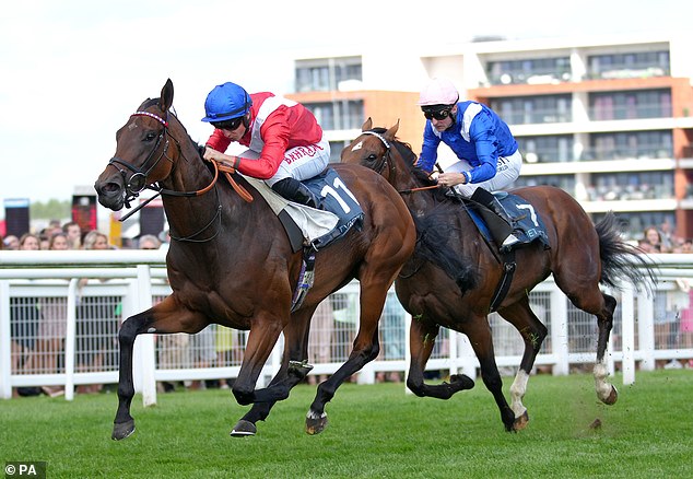 Tom Marquand believes Scared can match Shaquille for the Betfair Sprint Cup at Haydock