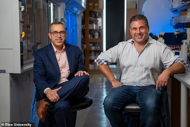 Lead researchers Omid Veiseh (right) and Dr. Amir Jazaeri in Veiseh's Rice University laboratory in August 2023