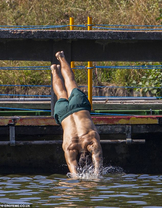 Taking a dip: Harry made a perfect dive to enter the water