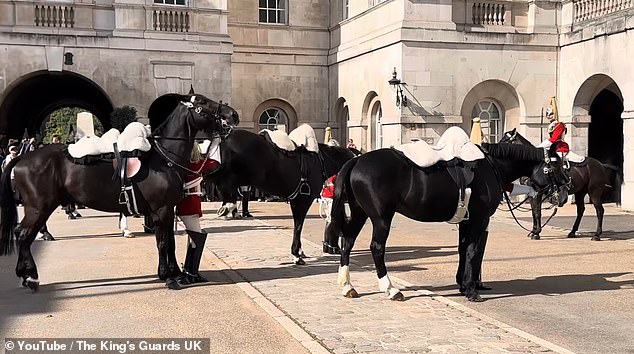 A clip on The King's Guards YouTube channel shows an irritated horse kicking at a soldier