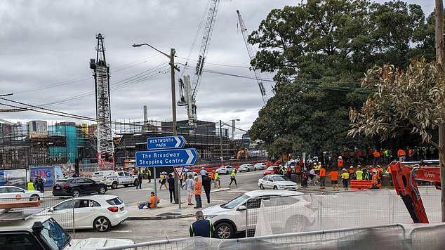 It is understood the crane crashed at the port site on Bridge Road in Blackwattle Bay in Glebe at around midday on Thursday.