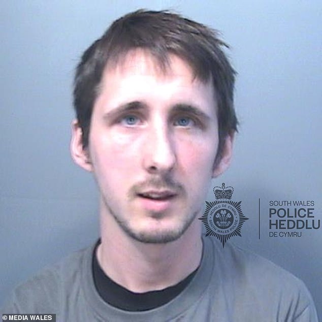 Tommy Allington, 25, subjected the child to a sustained campaign of sexual abuse, which saw the child assaulted and raped, Swansea Crown Court heard