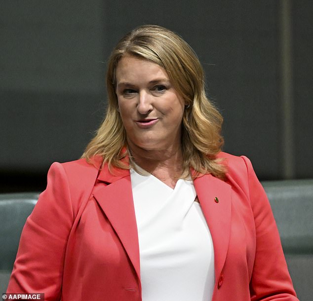 Independent North Sydney MP Kylea Tink (pictured) raised concerns about the behavior of politicians in Parliament during Question Time last Thursday