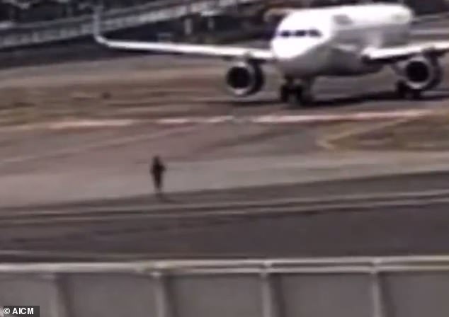 Mexico City International Airport security camera captures a teenager, identified as César, running across the tarmac before climbing into the landing gear of a Volaris plane waiting to take off on Sunday