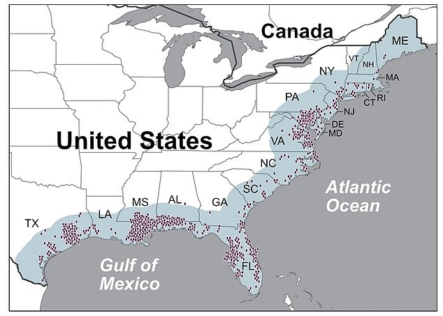 The map above shows where cases of Vibrio vulnificus were discovered in the United States between 2008 and 2018.  The bacteria continues to advance further north amid rising sea temperatures.