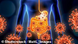 A 3D rendering of gastroenteritis