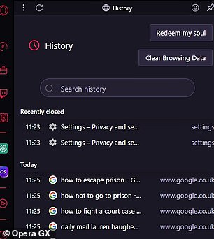 Previously: Your browser history appears in the 'History' tab