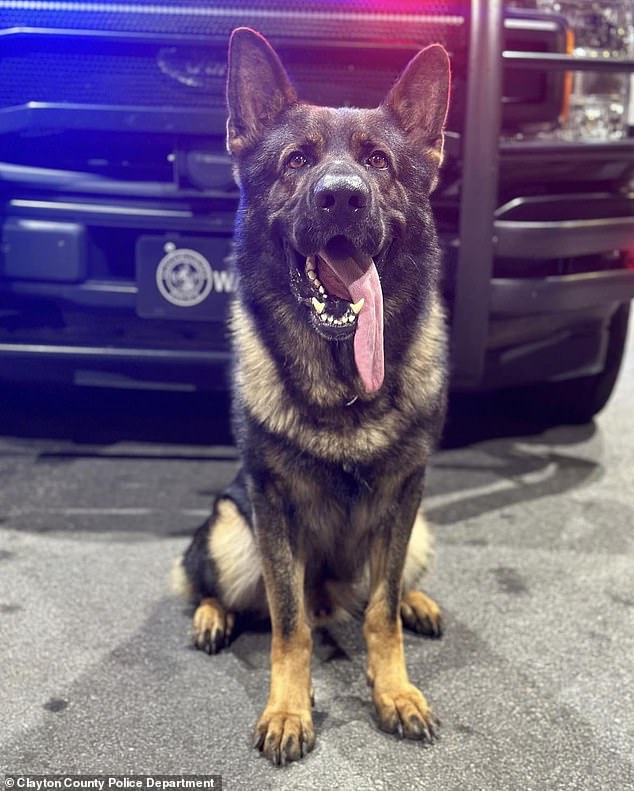 K9 officers Waro were shot dead on Saturday as Ford reportedly tried to evade arrest