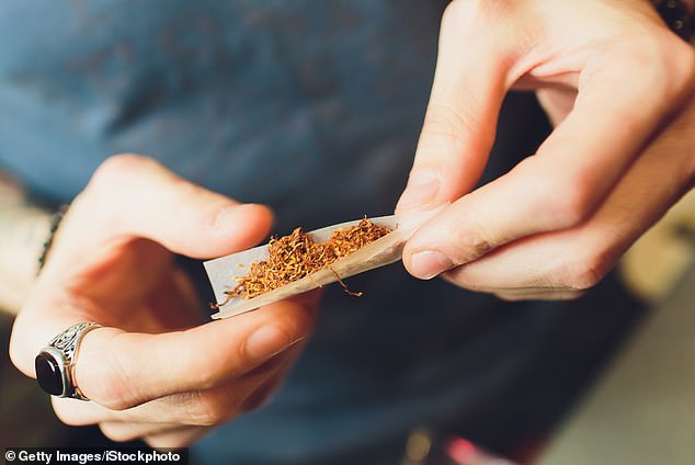 Australians are now turning to illegal loose leaf tobacco to cope with living costs and avoid a cigarette tax hike, a professor says (stock image)