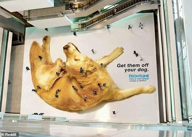 This well-thought-out advertisement for Frontline, a flea and tick treatment for pets, sits on the floor of a shopping center so that anyone who walks over it looks like a flea from a bird's eye view