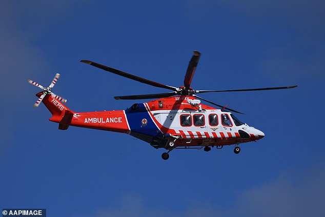 A toddler has been airlifted to hospital after being mauled by a dog (file photo)