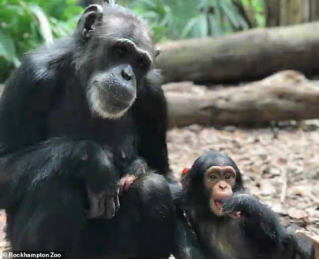 Samantha took on the role of Gandali's mother after his biological mother, Holly (pictured with Gandali), died in late 2022