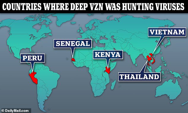 USAID's DEEP VZN (pronounced deep vision) project was hunting for viruses among wildlife in Asia, Africa and Latin America.