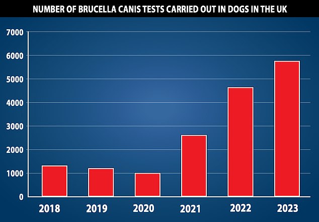 The number of tests on dogs has soared in Britain, with 5,773 carried out in the first six months of this year, compared to just 1,332 in 2018