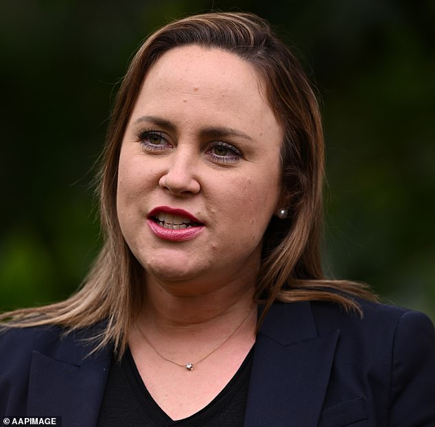 MPs in one state have spent more than $150,000 of taxpayers' money on trips abroad, including to learn about TikTok in the US and 'electorate business' in Britain.  Pictured is Liberal MP Bridget Vallence, who has trips planned to London, Greece and New Zealand