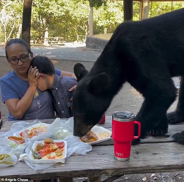 A woman protects a boy as a black bear interrupts the family meal at the Chipinque Ecological Park in Nuevo León, Mexico